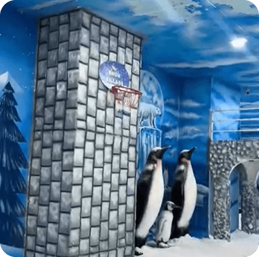 Snow Basketball