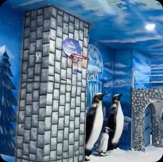 Snow Basketball