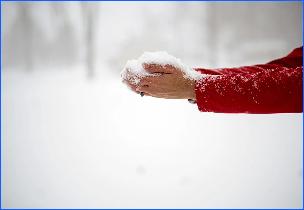 Fresh Snow
