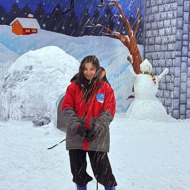 Snow Village gallery scene 8