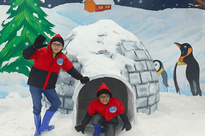Children playing in snow